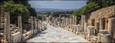 Cette cité d'Asie mineure, l'une des douze villes membres de la Ligue ionienne, était célèbre pour son temple d'Artémis désigné comme l'une des sept merveilles du monde antique :