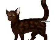 Quiz Connais-tu bien Bois de Frne ? LGDC