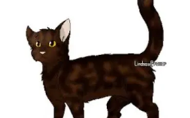 Quiz Littrature, posie