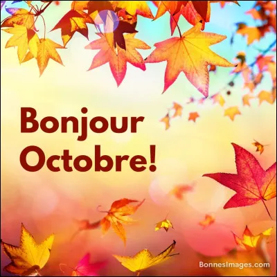 Dans les années 80, que se passa t-il aux Etats-Unis ?