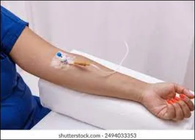 Il ou elle fut premier ministre pendant les années 8O !