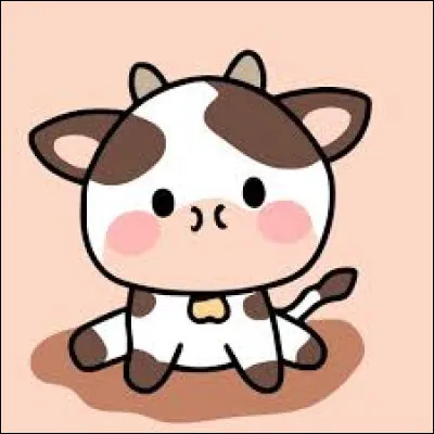 Tu veux que le fond de ton image soit