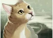 Quiz Reconnais le chat de LGDC sur limage (2)