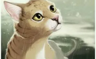 Quiz Littrature, posie