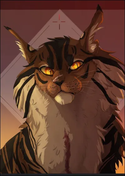 Cest parti ! Qui est-ce ?