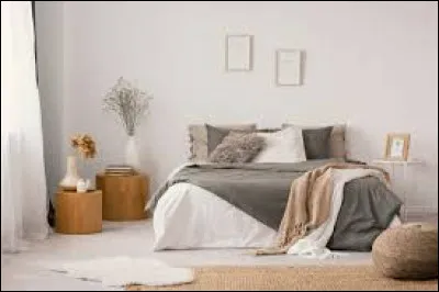 Comment voudrais-tu que ta chambre soit décorée ?