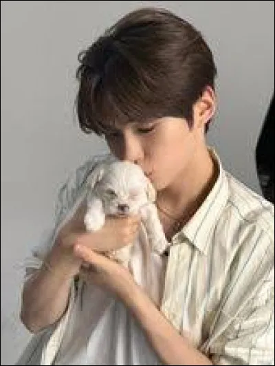 As-tu déjà crié en voyant ton bias ?