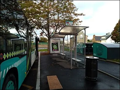 La jabébinette est poisson des côtes du Brésil. C'est...