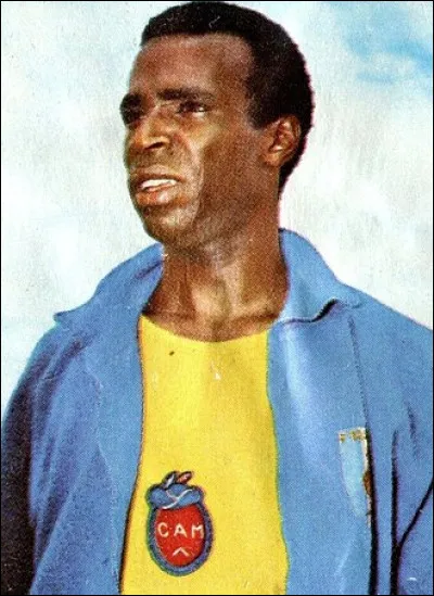 Lors d'un siège, l'échelle aussi haute que les murailles que l'on voulait attaquer, avait pour nom...