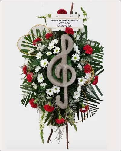 Qui chante "Briller" ?