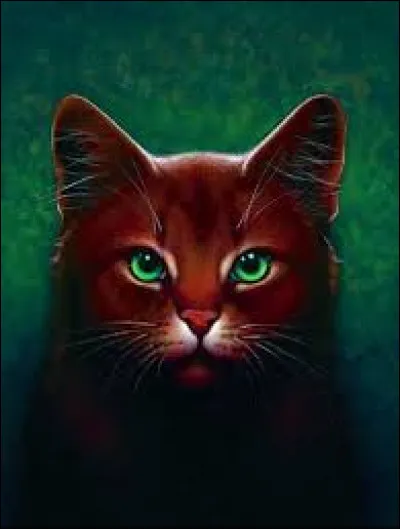 Quel est son nom de guerrier ?