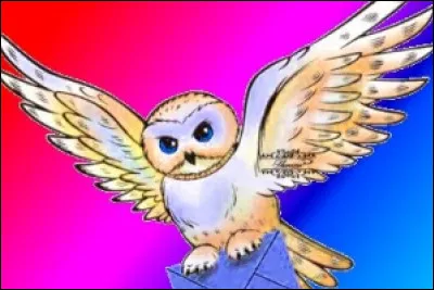 Quelle est ta couleur préférée ?