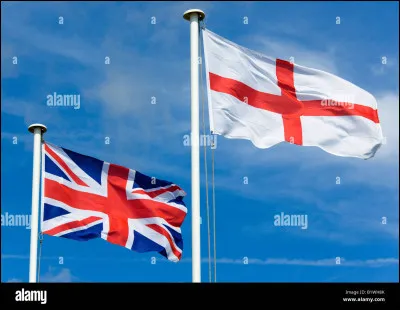 Quel est le nom anglais de Kinkajou ?