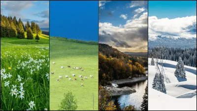 Quelle saison préfères-tu ?