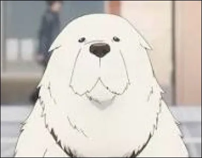 Qui est ce gros chien ?