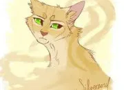 Quiz Quiz Tempte de Sable