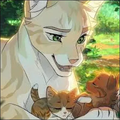 Comment sappellent ses chatons ?