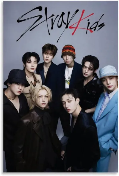 Question assez facile !
Comment est-ce qu'on nomme les fans de Stray Kids ?