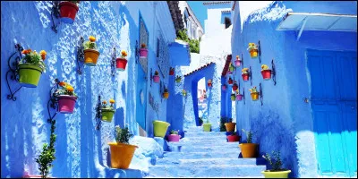 Quelle ville est surnommée la ville bleue ?