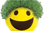 Quiz Culture gnrale  l'envers !