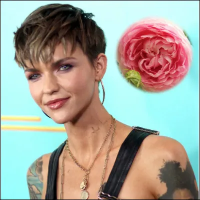 Quel est le patronyme de cette Ruby, actrice, mannequin, animarice, D.J. et réalisatrice australienne ?