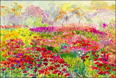 Choisis une couleur !