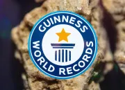 Quiz Les records insolites