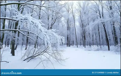 Quel animal détient le record du plus long sommeil hivernal documenté ?