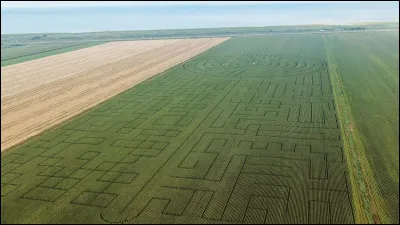 Quel pays détient le record du plus grand labyrinthe de maïs au monde ?