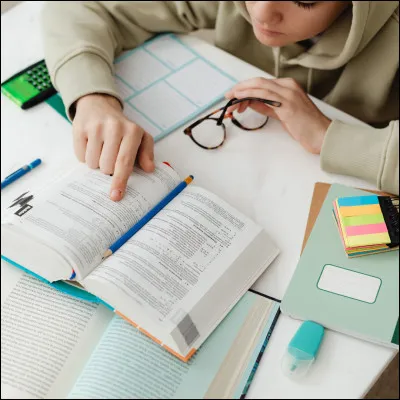 Quel était son projet détudes avant de se lancer dans la musique ?