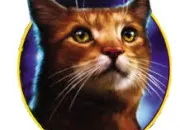 Quiz Quizz sur Tonnerre !