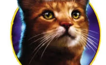 Quiz Littrature, posie