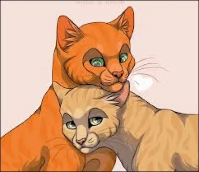 Combien Tonnerre a-t-il eu damoureuses ?