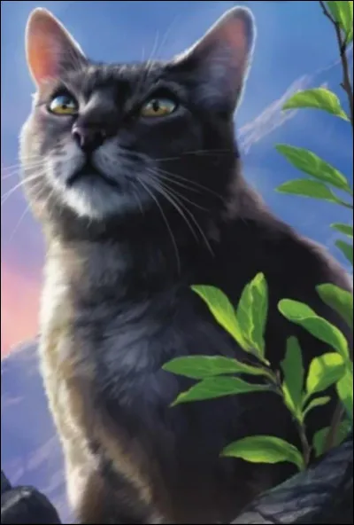 Si oui comment sappelaient-elles ?