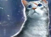 Quiz Connais-tu bien Feuille de Lis ?