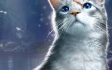 Quiz Littrature, posie