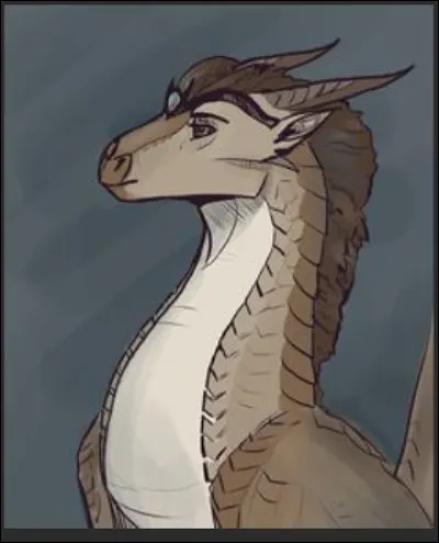 De quelle couleur sont tes yeux ? (2)