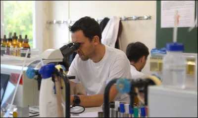 Un doctorat en recherche équivaut à un niveau de diplôme...