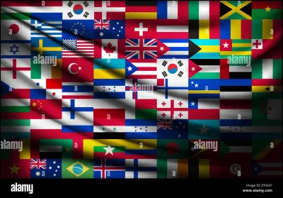 Combien de langues officielles sont reconnues en Afrique du Sud ?