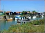 Au milieu d'un damier de 3000ha de parcs  hutres, cette petite ville de l'estuaire de la Seudre occupe une ancienne le du golfe de Saintonge, avec son port de Cayenne.