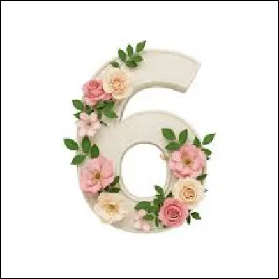 Quelles sont les noces c&eacute;l&eacute;br&eacute;es pour 6 ans de mariage ?