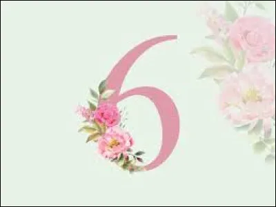 Sur quel canal de la TNT trouve-t-on la cha&icirc;ne 6ter ?