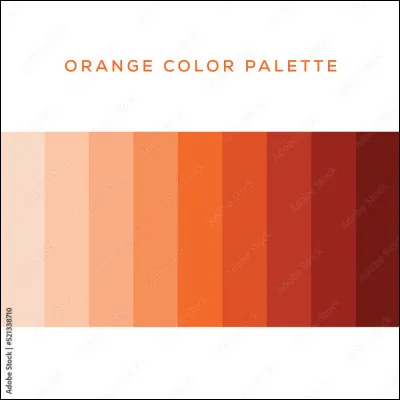 Quelles sont les couleurs du drapeau de l'Inde ?