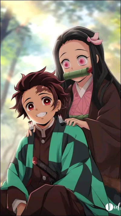 Nezuko a ... bambou et ...frère pour l'aider.