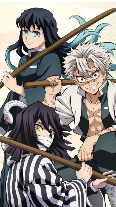 Et pour finir, Muichiro, Iguro et Sanemi ... les meilleurs personnages !