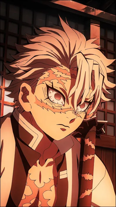 ... objectif est de tuer tous les démon qui ... sur ... passage.