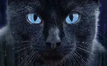 Quiz Littrature, posie