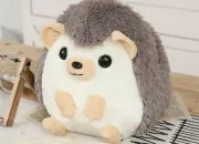 Test Quel hrisson kawaii es-tu ?