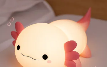 Quiz Test de personnalit