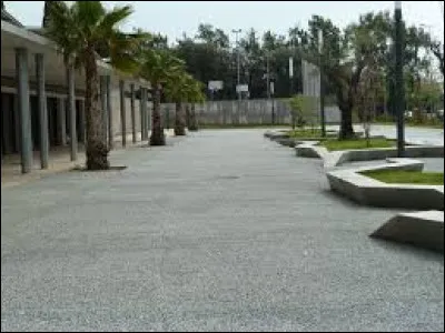 Il y a une bagarre dans la cour de ton collège/lycée